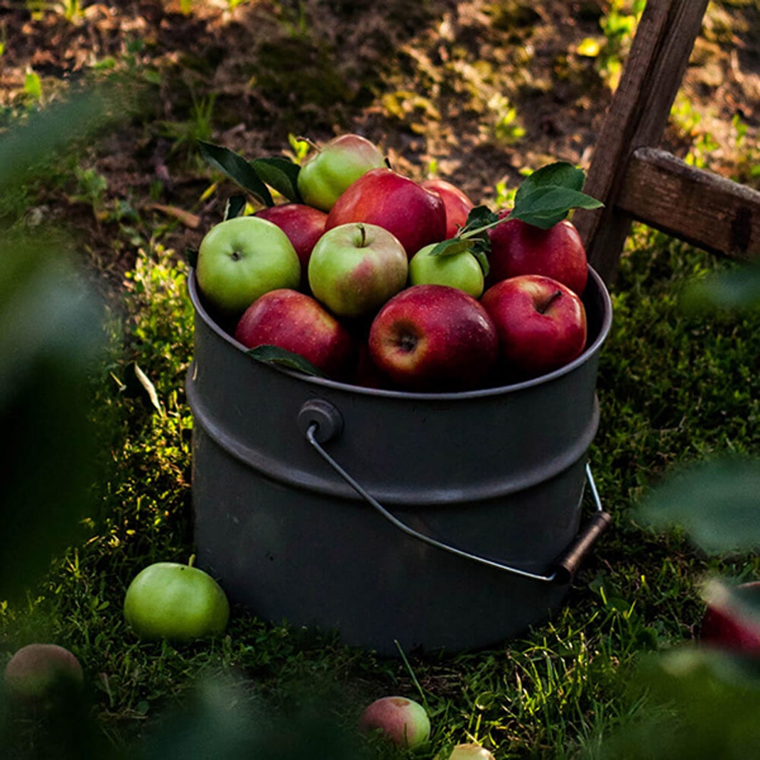果汁品牌視覺設計